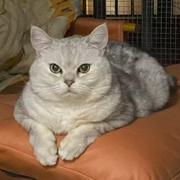 Jans的个人资料头像