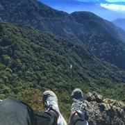 ShouPing的个人资料头像