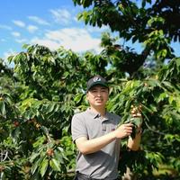 金春丰樱桃头像