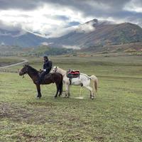 就不换皮带头像