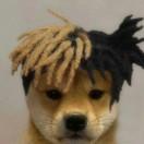 Zzzz的个人资料头像