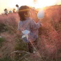 二宽在哏儿都头像