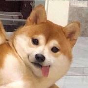 Onemore的个人资料头像
