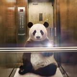 情断心凉头像