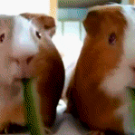 给个给个1的个人资料头像