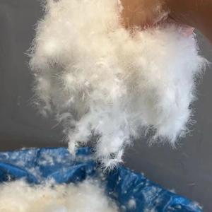 鸿逸羽绒胆布（收售）头像