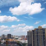 康聪2001头像