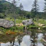 用户278006668头像