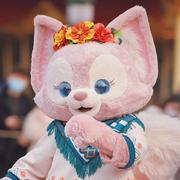 LINabEll的个人资料头像