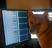 Lite的个人资料头像