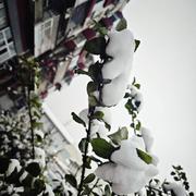 夜白的个人资料头像