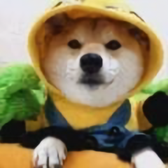 葡萄树萄葡头像