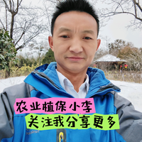 云淡风轻55081头像