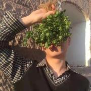 刘港辉的个人资料头像