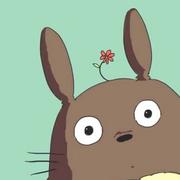 togo的个人资料头像