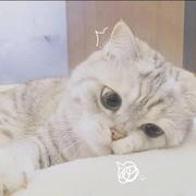 逻辑大大的个人资料头像