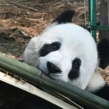 用户1726845795602头像