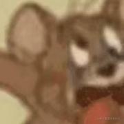 爱胖小的个人资料头像