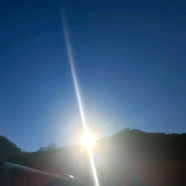 夏那五彩斑斓的光头像