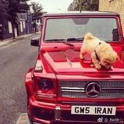 956836421的个人资料头像