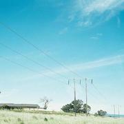 pengweizhong的个人资料头像