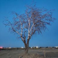 琪琪的快乐生活123头像