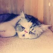 你好woody的个人资料头像