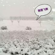 快乐听雨声331的个人资料头像