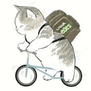 浩宇916的个人资料头像