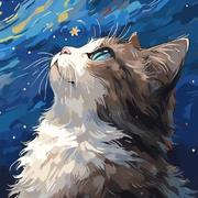 Ashely的个人资料头像