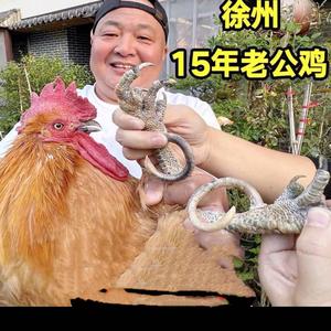 唐哥美食