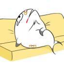 老咸鱼旋仔的个人资料头像