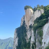 1历久弥新啊头像