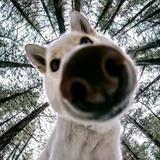 用户1623246558109头像