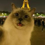 Wade301的个人资料头像