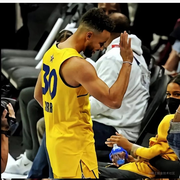 薛定谔的橘猫的个人资料头像