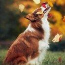 你还未来的个人资料头像