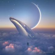 TimeAngel的个人资料头像