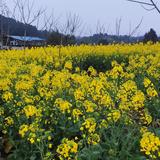 创意克劳德7J9头像
