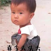 淡然一笑353的个人资料头像