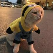 Quack875的个人资料头像