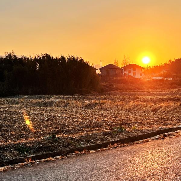 罗文迪能量圈头像