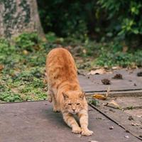 今天明天很开心头像