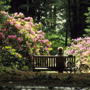 安好195的个人资料头像