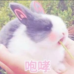 兔兔丶兔兔头像