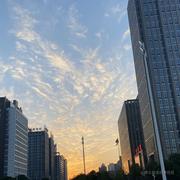 Bqek的个人资料头像
