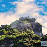 烟泊雲峰头像