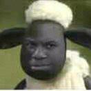 卢伟的个人资料头像