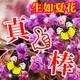 haihsuwifjxn头像