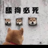 莫莫国献头像
